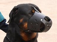 Leather Dog Muzzle For Rottweiler - Custom Dog Muzzle M51  Leather Dog Muzzle For Rottweiler - Custom Dog Muzzle M51