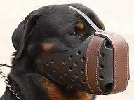 Dog Muzzle Agitation Training -Rottweiler LeatherDog Muzzle M55  Dog Muzzle Agitation Training -Rottweiler LeatherDog Muzzle M55